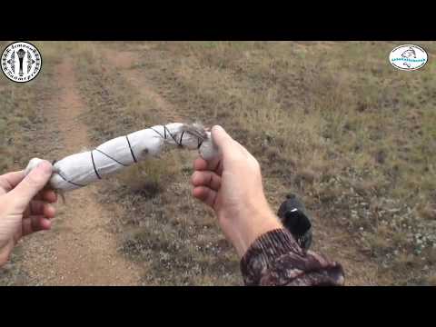 Видео: Натаска собаки команде ПОДАЙ