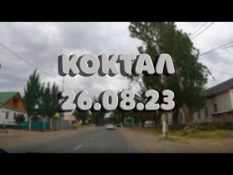 Видео: Коктал 26.08.23