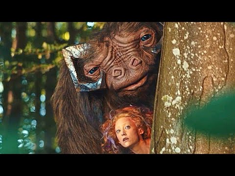 Видео: НАШЛА СТАРУЮ КНИГУ И ПОПАЛА В СКАЗКУ! СЕМЕЙНОЕ ФЭНТЕЗИ! В стране фей. Лучшие фильмы. Filmegator