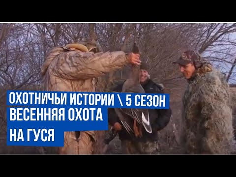 Видео: Охотничьи истории. Сезон 5. Выпуск 7