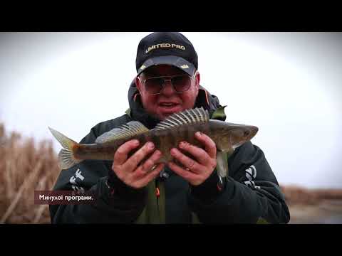 Видео: Пригоди на жовтій річці, 2 частина ▶ ШОуОЛДА №381 ▶ Трофей