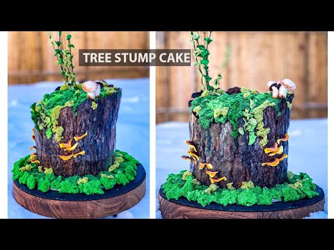 Видео: РЕАЛИСТИЧНЫЙ ТОРТ ИЗ ПНЯ | Учебник по съедобному мху