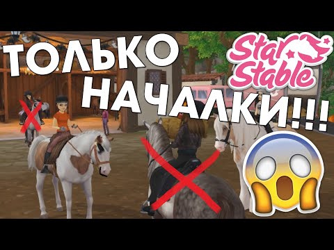 Видео: Если бы в Star Stable были только НАЧАЛКИ 😱 (ft. Greendale Crows)