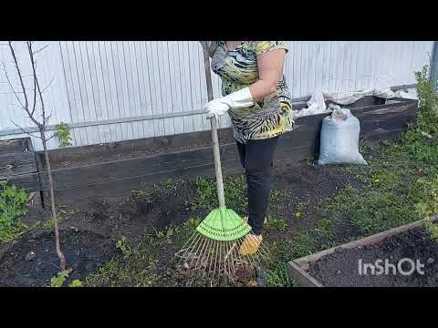 Видео: 27 апреля,продолжаю уборку на даче