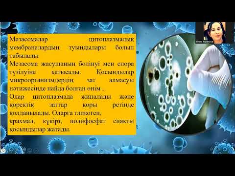 Видео: Бактерия саңырауқұлақ жасушасының құрылысы Өсімдік, жануар жасушасы айырмашылығы #biology #education