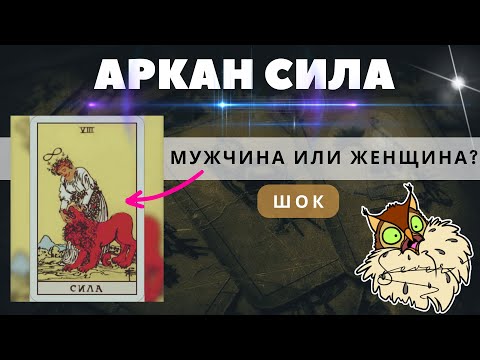 Видео: 🦁 КТО НА АРКАНЕ СИЛА ТАРО? МУЖЧИНА ИЛИ ЖЕЩИНА? ШОК