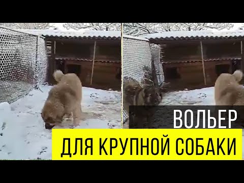 Видео: Как правильно сделать вольер для крупной собаки. Кавказская овчарка. Домбай Ульген.