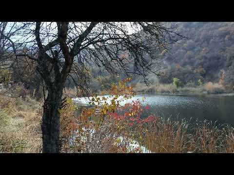 Видео: Юнатская тропа 25.10.2025