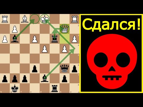 Видео: Редкий Дебют: Я ВЫИГРАЛ ФЕРЗЯ! ♛ 😱 (Соперник СДАЛСЯ!)