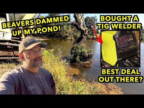 Видео: Бобры запрудили мой пруд! Прочищаю засор и строю новый мусорный контейнер.