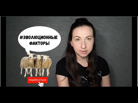 Видео: Биология. Эволюционные факторы.