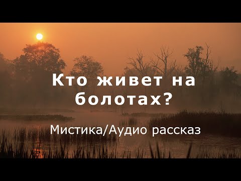 Видео: "Кто живет на болотах?" Мистика/Аудио рассказ