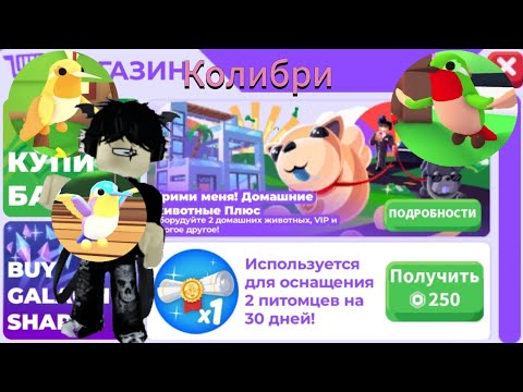 Видео: КОЛИБРИ УЖЕ СЕГОДНЯ! Два пета сразу!Roblox adopt me