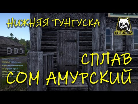 Видео: Русская рыбалка 4 рр4 Нижняя тунгуска Сом амурский сплавом