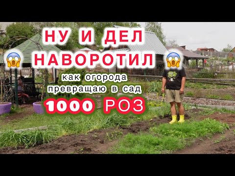 Видео: НОВЫЙ ОБРАЗ И ГРАНДИОЗНЫЕ ПЛАНЫ  Что стало, когда убрали теплицу!