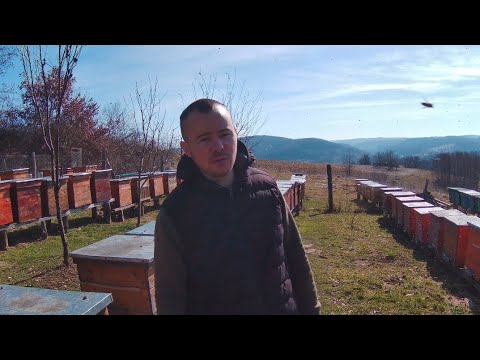 Видео: Перші весняні роботи на пасіці Які втрати 🔥