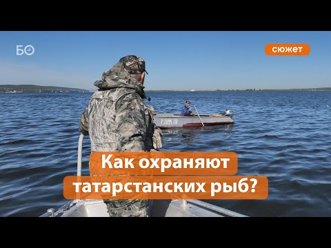 Видео: Как «Рыбоохрана» охотится на браконьеров в РТ?