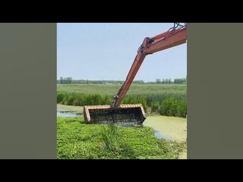 Видео: JCB поймал рыбу 🐠🐟 из реки [136]