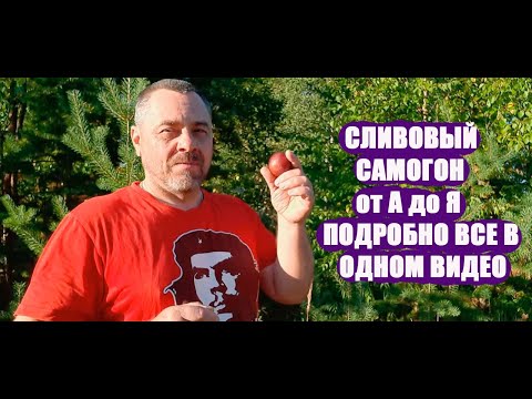 Видео: Самогон из сливы подробный рецепт СЛИВОВЕЦЫ от браги до дистиллята