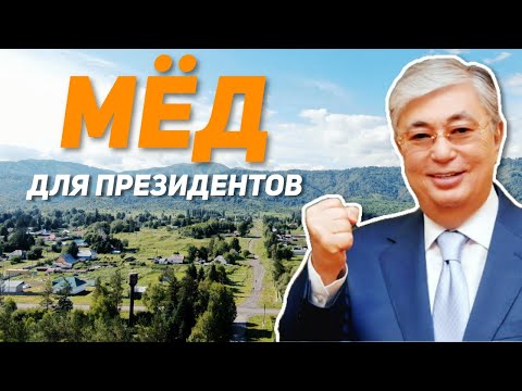 Видео: Мёд для президентов! Обзор на фабрику мёда из посёлка Лепси!