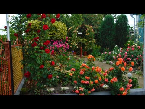 Видео: Екскурсія сезоном 2024.Відповіді на запитання