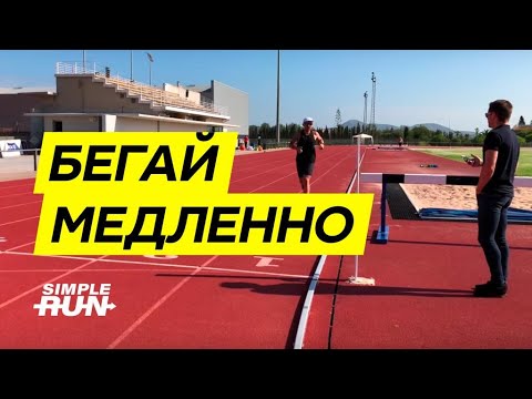 Видео: Хотите бегать быстро? 💨 Учитесь бегать медленно! 🐢