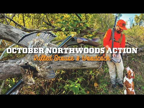Видео: Сезон охоты на рябчиков в самом разгаре! Прохладная погода, клещи, укрытие и многое другое!