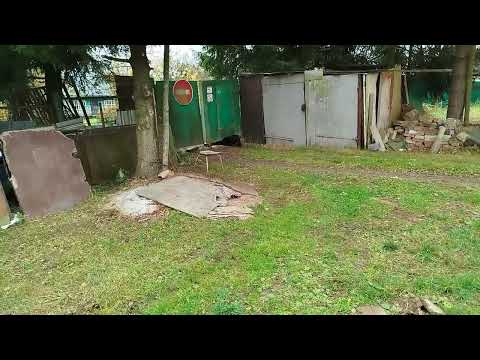 Видео: Потеряшкины новости