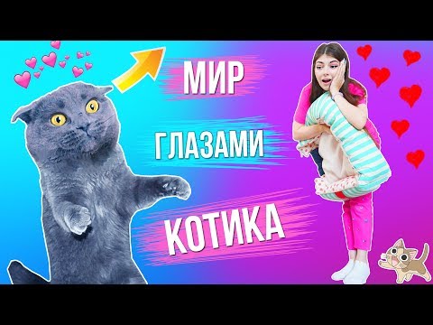 Видео: МИР ГЛАЗАМИ КОТИКА | 3 часть