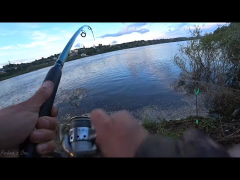 Видео: Рыбалка на Оке или где СОМ?! Когда ЕКАТЕРИНА Всех УДЕЛАЛА! #сом #жерех #судак