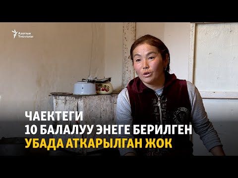 Видео: Чаектеги 10 балалуу энеге берилген убада кана?