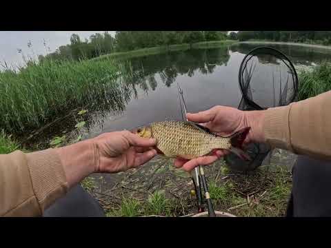 Видео: Югла, ловля на поплавок методом Херабуны. Краснопёрка на таранку. Riga, Latvia.