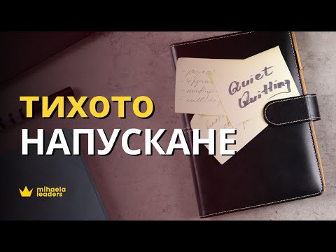 Видео: ТИХОТО НАПУСКАНЕ. Кои са причините хората да дават минимума от себе си на работното място?