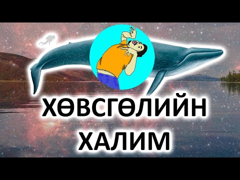 Видео: Анхны Влог - Хайраа Халим Байна!!! Үгүй-ээ Анар Байна!