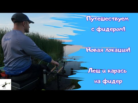Видео: Рыбалка летом. В поисках новых мест. Кого будем ловить сегодня? Карась и лещ на фидер!