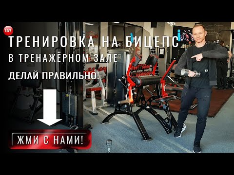 Видео: Упражнения на бицепс в зале. Как лучше всего тренировать мышцы бицепса в зале. 5 упражнений. Техника