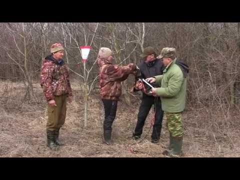 Видео: Испытания такс по кровяному следу РКФ