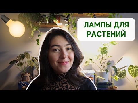 Видео: Как я ДОСВЕЧИВАЮ комнатные растения / Какие ЛАМПЫ для РАСТЕНИЙ использую