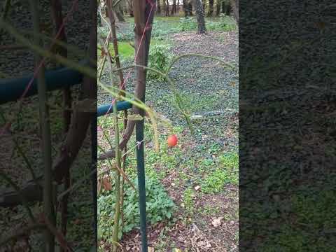 Видео: История на модата и костюма 2 част