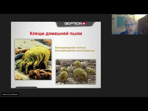 Видео: Вебинар | Бронхиальная астма |  Проблемы |  Решения |  Курочкина ЕР