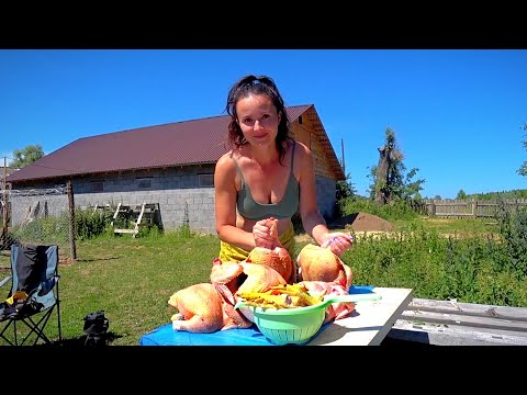 Видео: КАК ЗА 40 ДНЕЙ ВЫРАСТИТЬ МЯСО НА ЦЕЛЫЙ ГОД.