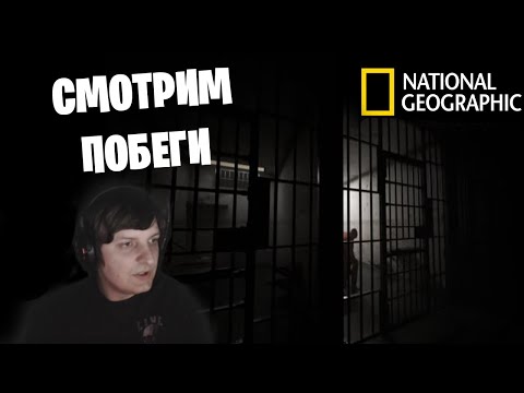 Видео: Смотрим документалки про побеги (Стрим от  08.07.2022)
