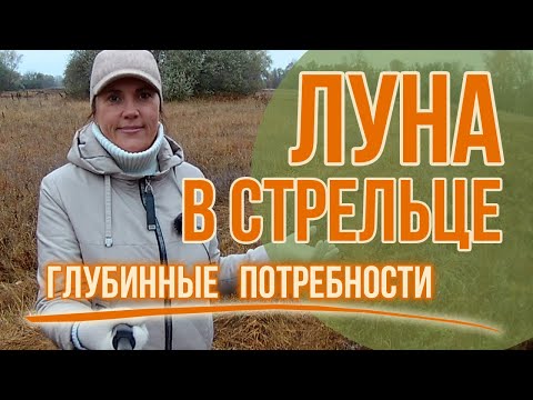 Видео: Луна в Стрельце