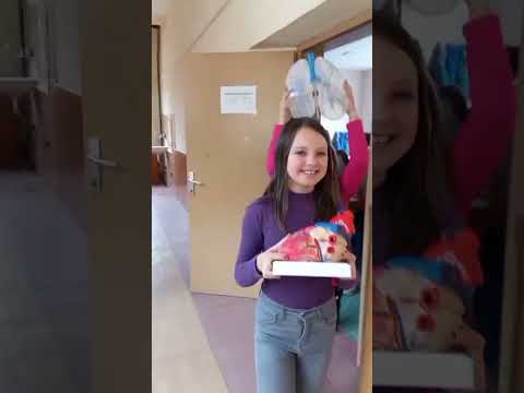 Видео: ООУ Св.Климент Охридски - Македонски Брод  / Патронат 2022 EN