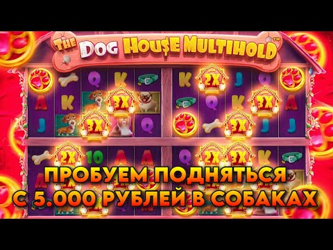 Видео: ПОДНИМАЕМСЯ С 5.000Р В ДОГ ХАУСАХ! / БЕЗ ДОДЕПА!! / MULTIHOLD ОТКРЫЛ ФУЛЛСКРИН И ДАЛ ПОЛЯНУ БУДОК!