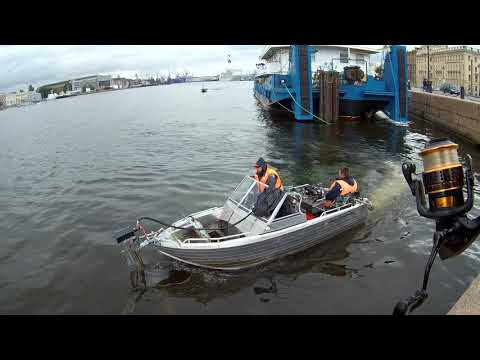 Видео: #49 Мормышинг | Беру Кощей, иду косить Лещей |