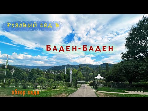Видео: Розы в саду 2022. Розы Германии. Обзор местных роз в розовом саду в Баден-Баден.