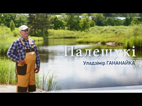 Видео: Белорусское Полесье – деревня Толмачево. Все о сборе меда