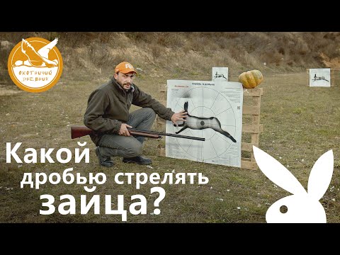 Видео: Какой дробью стрелять зайца? (Охотничий дневник #1)