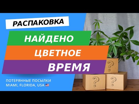 Видео: Распаковка потерянных посылок - вот это находки!